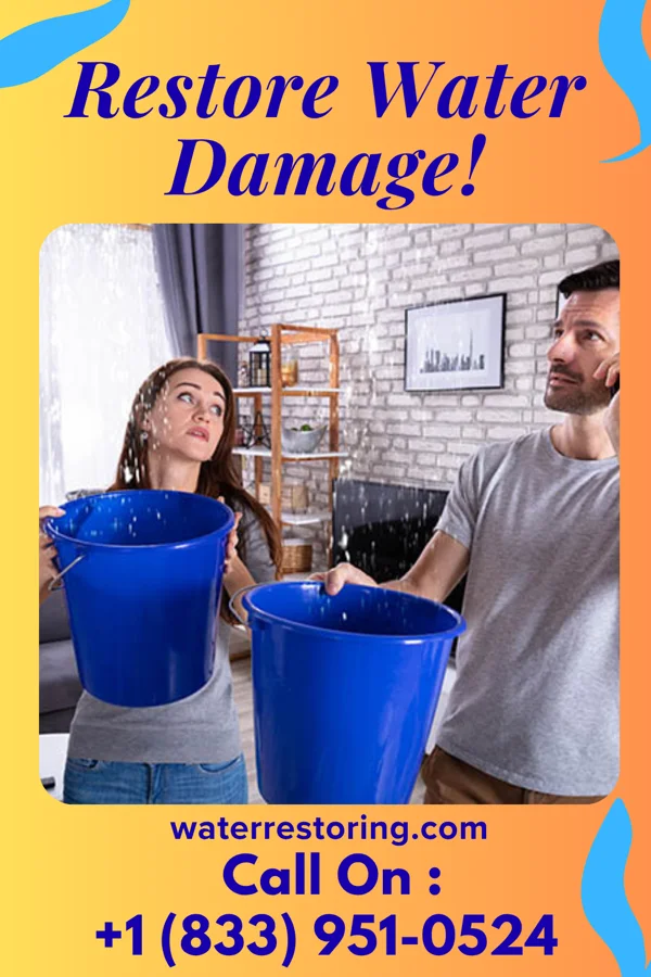 water restoration Quality Extraction Professionals Byron