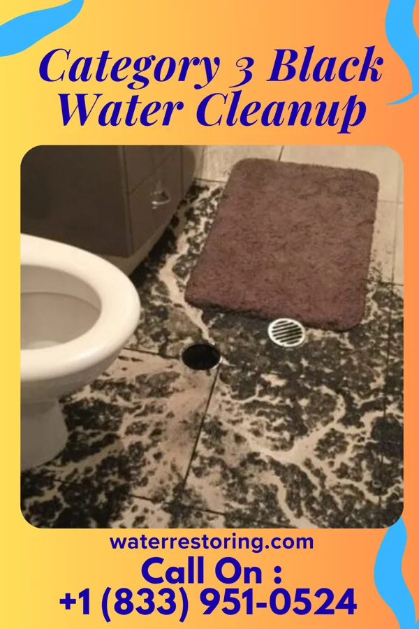 Category 3 Black Water Cleanup in Byron, GA